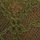 Woodland Green Lace