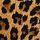 Leopard Brown