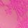 Pink Fire