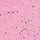Moonstone Pink