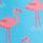 Pink Flamingo