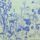 Green/Blue