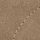 Dune Cream