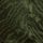Khaki Green