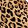 Leopard Brown