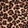 Leopard Brown