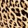 Leopard Brown