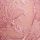 Pink Rose