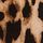 Leopard Brown