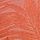 Autumn Leaf Orange