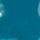 Teal Blue