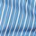Blue/White