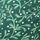 Dark Green Mistletoe