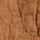 Brown Dino