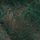 Botanical Green