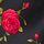 Black Glamorous Rose