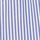 Blue/White