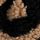 Cream Leopard Print