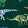 Green Dino