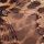 Leopard Brown