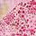 Pink Floral Print