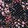 Noir Navy Blue Floral Print
