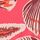 Coral Pink