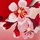 Japanese Cherry Blossom