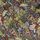 Navy Decorative Floral