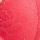 Hot Coral Pink Rose