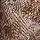 Brown Snake