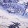 Noir Navy Blue Toile