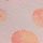Pink Seashell Print