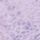 Lavender Purple Leopard