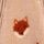 Orange Fox