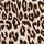 Leopard Brown