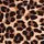 Leopard Brown