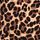 Leopard Brown