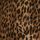Brown Print