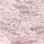 Pink Tulip