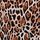 Brown Leopard