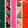 Red/Pink/Green