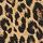 Leopard Brown