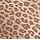 Brown Leopard