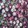 Black Floral
