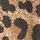 Brown Leopard