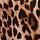 Leopard Brown