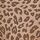 Brown Leopard