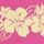 Pink & Yellow
