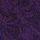 Gothic Purple